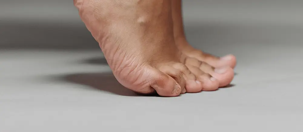 A bare foot on tiptoe, highlighting the arch.